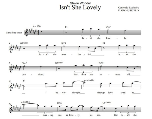 KIT Play Along + playback + partitura Isn't she lovely  Stevie Wonder Sax Tenor e Soprano + Partitura + video partitura - Image 2